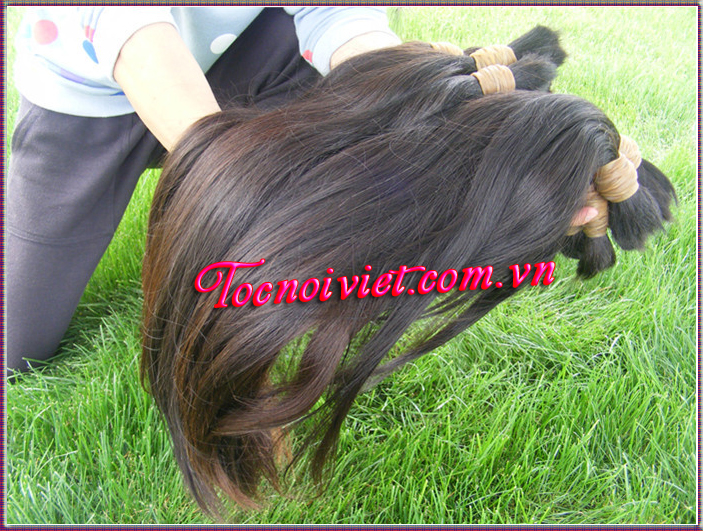 Tóc thật, nguyên thủy,  Việt nam human hair 